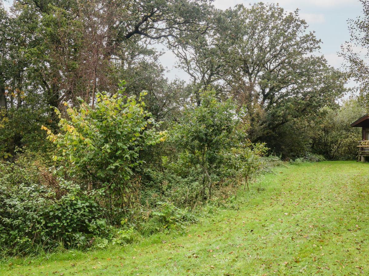 Braeburn Lodge Winkleigh Экстерьер фото