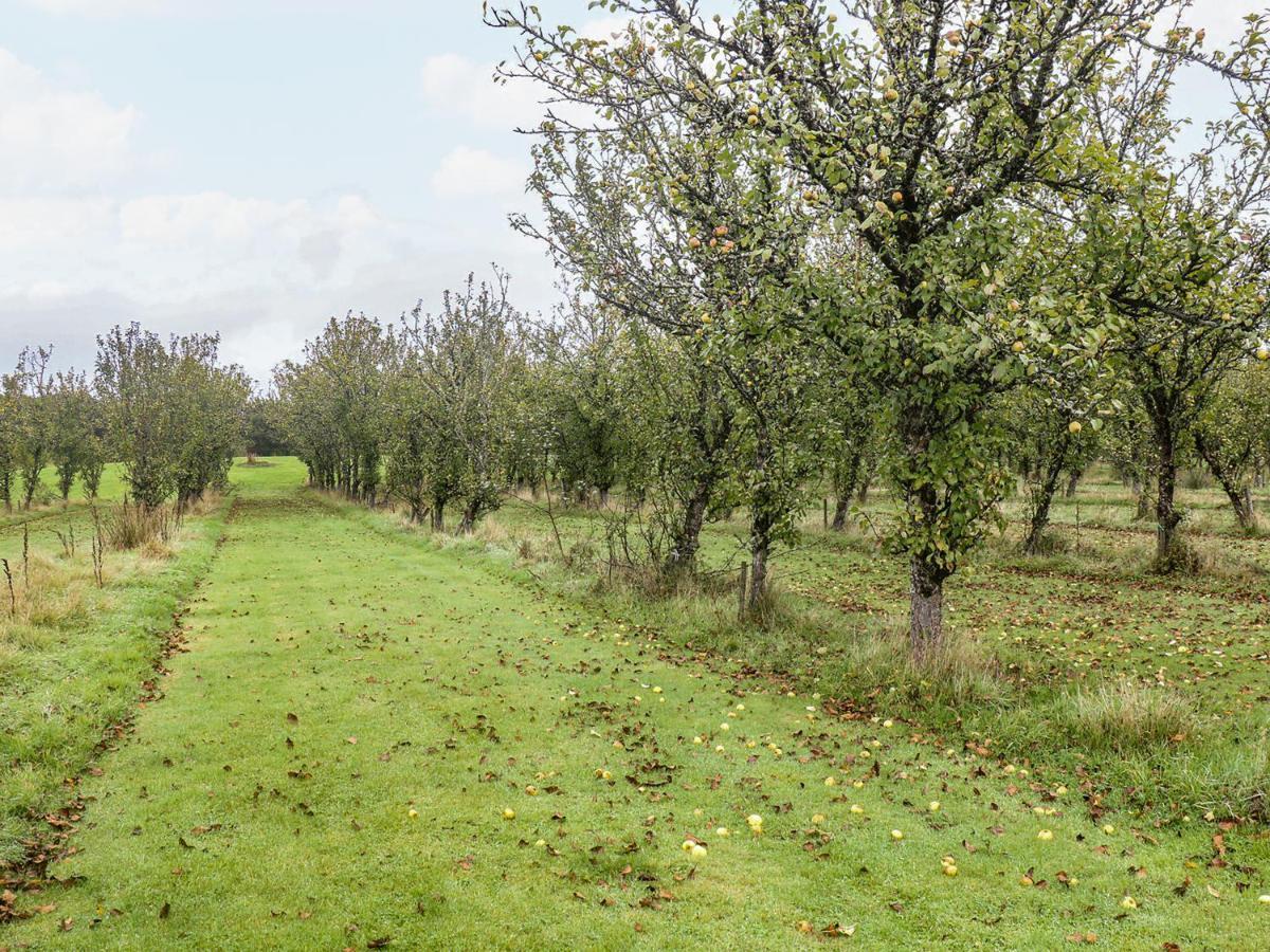 Braeburn Lodge Winkleigh Экстерьер фото